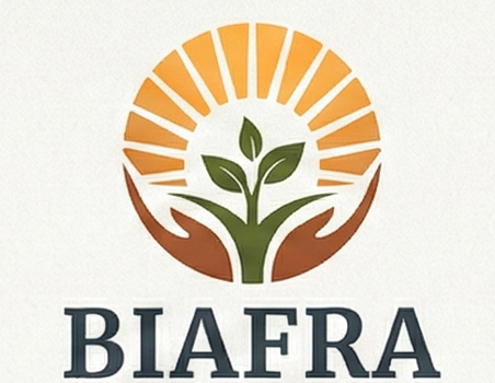 NDIBIAFRA Logo